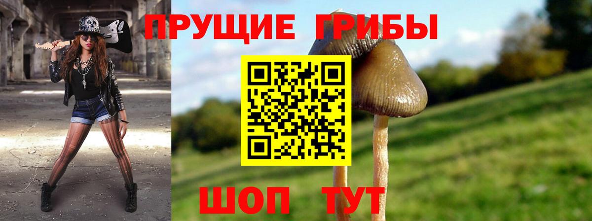 Галлюциногенные грибы мицелий  Вход с VPN  Шахты  Псилоцибиновые грибы прущие грибы 